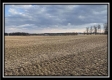 Tract 3 - Darby Farm at Scottslawn  property photo