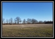 More of Tract 1 - Dent Road Farm
