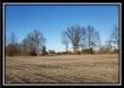 More of Tract 1 - Dent Road Farm