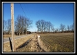 More of Tract 1 - Dent Road Farm