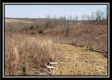 More of Tract 13 - The Views at Deer Ridge