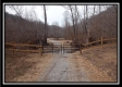 More of Tract 8 - Demazie Hollow