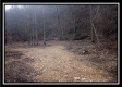 More of Tract 8 - Demazie Hollow