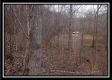 Tract 8 - Demazie Hollow property photo