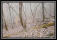 Tract 8 - Demazie Hollow property photo