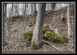 More of Ohio River Cabin