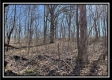 Ohio River Cabin property photo
