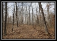 More of Tract 18 - The Views at Deer Ridge