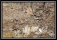 More of Tract 18 - The Views at Deer Ridge