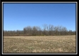 More of Tract 2 - Union Pastures