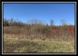 More of Tract 2 - Union Pastures