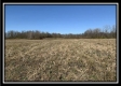 More of Tract 2 - Union Pastures