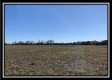 More of Tract 2 - Union Pastures