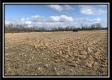More of Tract 3 - Union Pastures