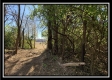 Tract 3 - Union Pastures property photo