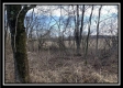 More of Tract 4 - Union Pastures