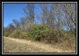 More of Tract 4 - Union Pastures