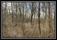 More of Tract 4 - Union Pastures