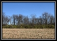 Tract 4 - Union Pastures property photo