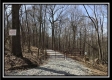 More of Tract 13 - Woods at Pike Forest