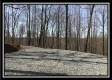 More of Tract 13 - Woods at Pike Forest