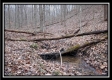 3395 Township Road 324 property photo