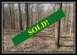 Tract 12 - The Woods at Pike Forest