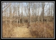 More of Tract 7 - The Views at Deer Ridge