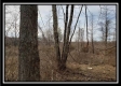 More of Tract 7 - The Views at Deer Ridge