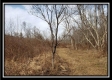 More of Tract 7 - The Views at Deer Ridge