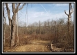Tract 7 - The Views at Deer Ridge property photo