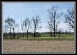 More of Tract 7 - Dent Road Farm 