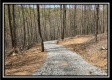 More of Tract 8 - The Woods at Pike Forest