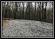 Tract 8 - The Woods at Pike Forest property photo