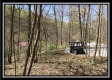 More of Tract 6 - The Woods at Pike Forest
