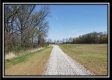 More of Tract 4 - Dent Road Farm