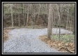 More of Tract 1 - The Woods at Pike Forest