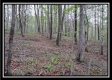 More of 3471 Township Road 324