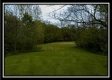 More of Whetstone Creek