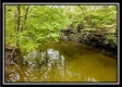 More of Whetstone Creek