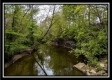 More of Whetstone Creek