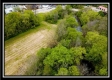 More of Whetstone Creek