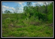 More of Tract 15 - The Views at Deer Ridge
