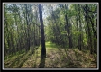 More of Tract 15 - The Views at Deer Ridge