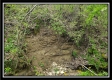 Tract 15 - The Views at Deer Ridge property photo