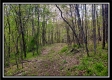 More of Tract 16 - The Views at Deer Ridge