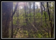 More of Tract 16 - The Views at Deer Ridge