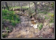 More of Tract 16 - The Views at Deer Ridge