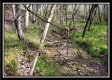 More of Tract 16 - The Views at Deer Ridge