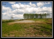 More of Tract 16 - The Views at Deer Ridge